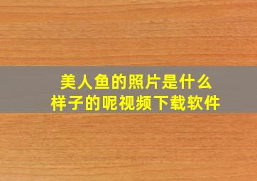 美人鱼的照片是什么样子的呢视频下载软件