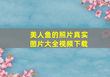 美人鱼的照片真实图片大全视频下载