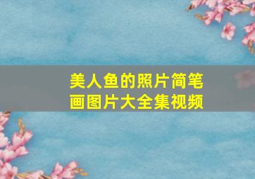 美人鱼的照片简笔画图片大全集视频