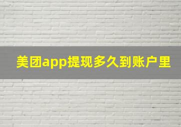 美团app提现多久到账户里