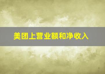 美团上营业额和净收入