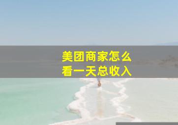 美团商家怎么看一天总收入