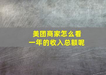 美团商家怎么看一年的收入总额呢