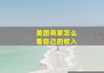 美团商家怎么看自己的收入