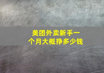 美团外卖新手一个月大概挣多少钱