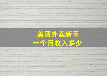 美团外卖新手一个月收入多少