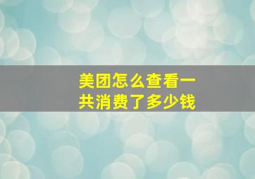 美团怎么查看一共消费了多少钱