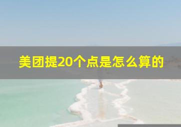 美团提20个点是怎么算的