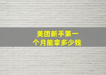 美团新手第一个月能拿多少钱