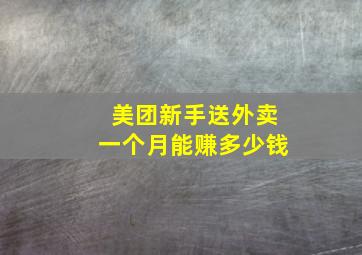 美团新手送外卖一个月能赚多少钱