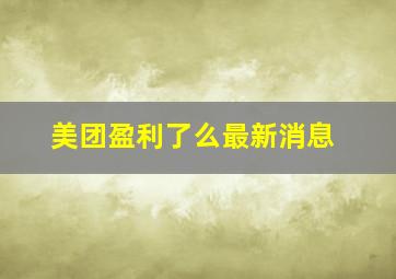 美团盈利了么最新消息