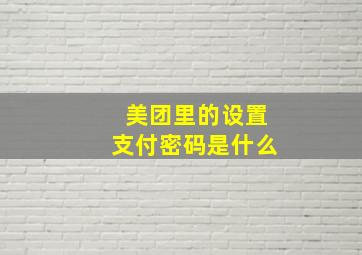 美团里的设置支付密码是什么