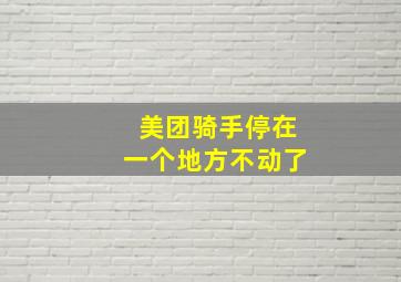 美团骑手停在一个地方不动了