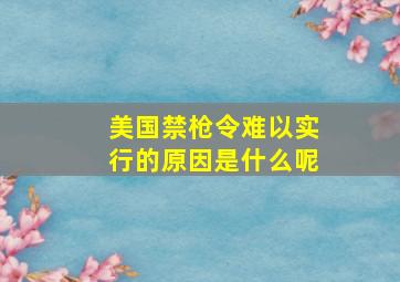 美国禁枪令难以实行的原因是什么呢