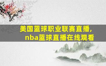 美国蓝球职业联赛直播,nba蓝球直播在线观看