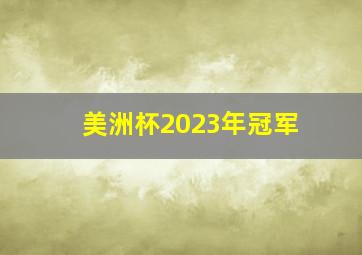 美洲杯2023年冠军