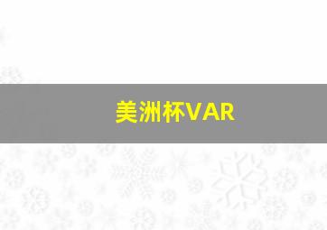 美洲杯VAR