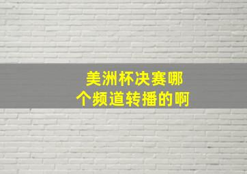 美洲杯决赛哪个频道转播的啊