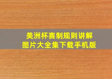 美洲杯赛制规则讲解图片大全集下载手机版