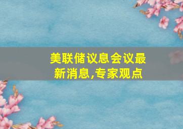 美联储议息会议最新消息,专家观点