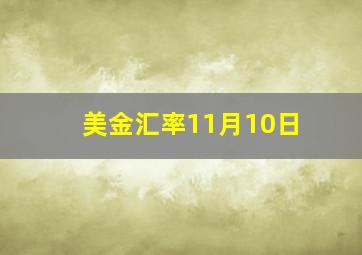 美金汇率11月10日