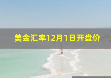 美金汇率12月1日开盘价