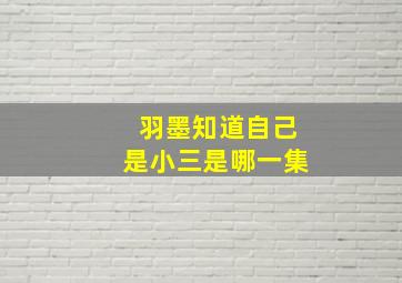 羽墨知道自己是小三是哪一集