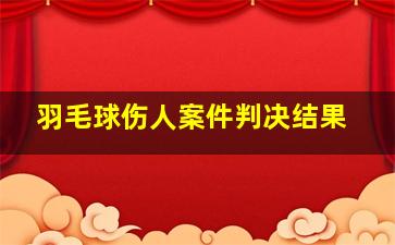 羽毛球伤人案件判决结果