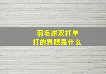 羽毛球双打单打的界限是什么