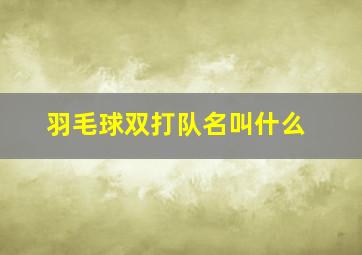 羽毛球双打队名叫什么