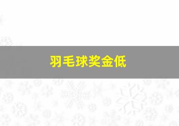 羽毛球奖金低