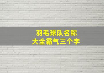 羽毛球队名称大全霸气三个字