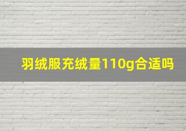 羽绒服充绒量110g合适吗