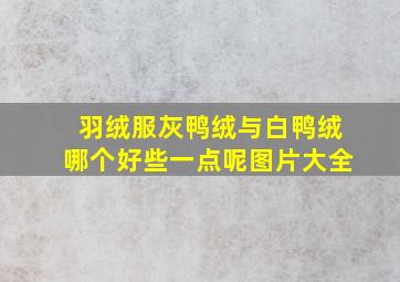 羽绒服灰鸭绒与白鸭绒哪个好些一点呢图片大全