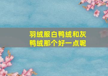 羽绒服白鸭绒和灰鸭绒那个好一点呢