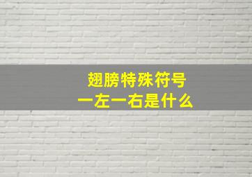 翅膀特殊符号一左一右是什么