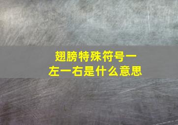 翅膀特殊符号一左一右是什么意思