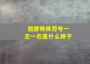 翅膀特殊符号一左一右是什么牌子