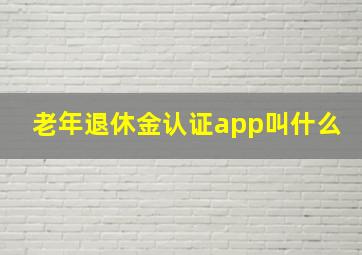 老年退休金认证app叫什么