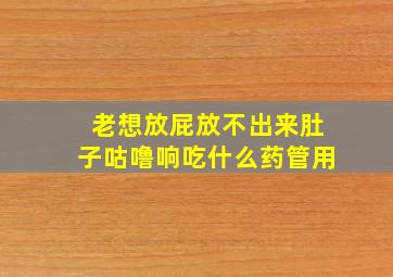 老想放屁放不出来肚子咕噜响吃什么药管用