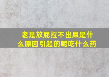 老是放屁拉不出屎是什么原因引起的呢吃什么药