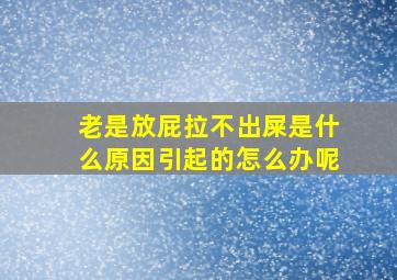 老是放屁拉不出屎是什么原因引起的怎么办呢