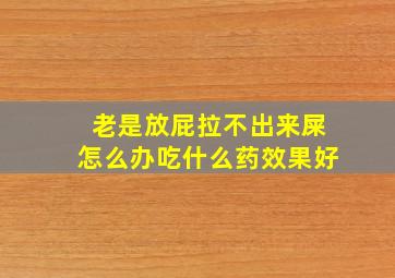 老是放屁拉不出来屎怎么办吃什么药效果好