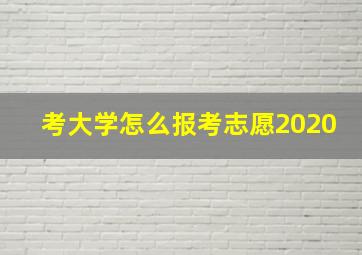 考大学怎么报考志愿2020