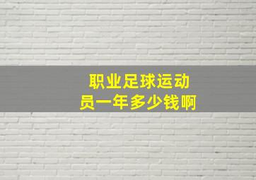 职业足球运动员一年多少钱啊