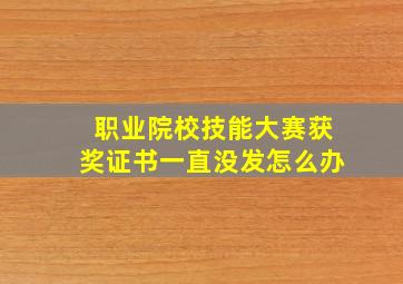 职业院校技能大赛获奖证书一直没发怎么办