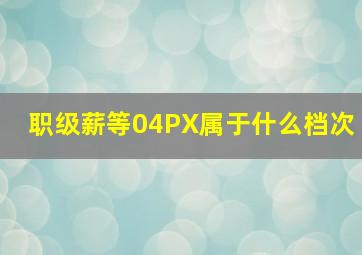 职级薪等04PX属于什么档次