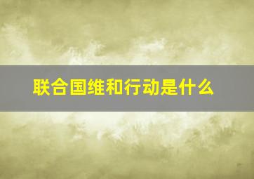 联合国维和行动是什么