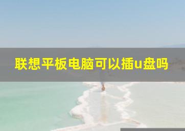 联想平板电脑可以插u盘吗