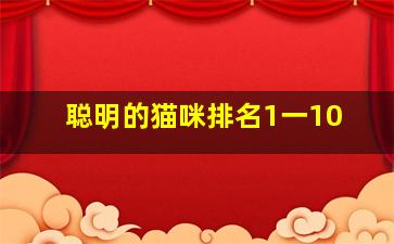 聪明的猫咪排名1一10